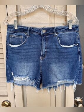 Risen Jeans Denim Shorts Size Large